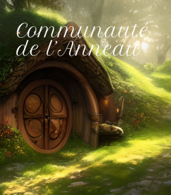 Coffret "Communauté de l'Anneau"