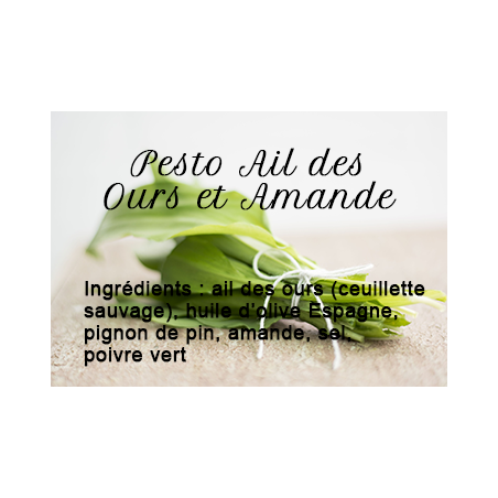 Wild Garlic and Almond Pesto