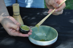 Taller de descubrimiento del matcha