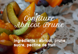 Apricot Plum Jam