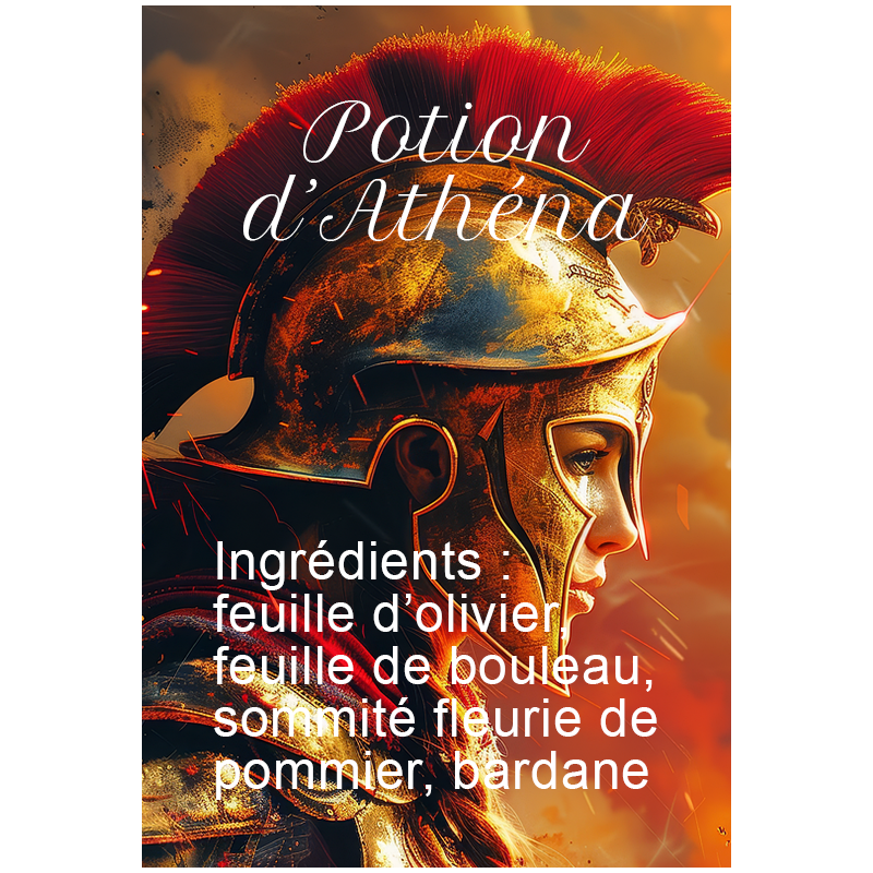 Tisane olivier, bouleau, pommier et bardane